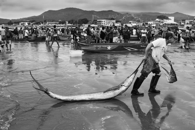 Jef Pattyn spent days watching fishermen to capture this image. "Prize catch" shows a fisherman pulling a sailfish across the beach in Puerto López, Manabí Province, Ecuador.