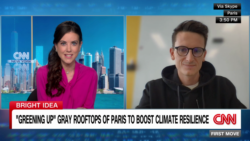 exp paris zinc roofs roofscapes intv FST 082909ASEG3 cnni business_00012014.png