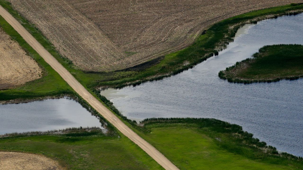A road bisects a wetland on June 20, 2019, near Kulm, North Dakorta.