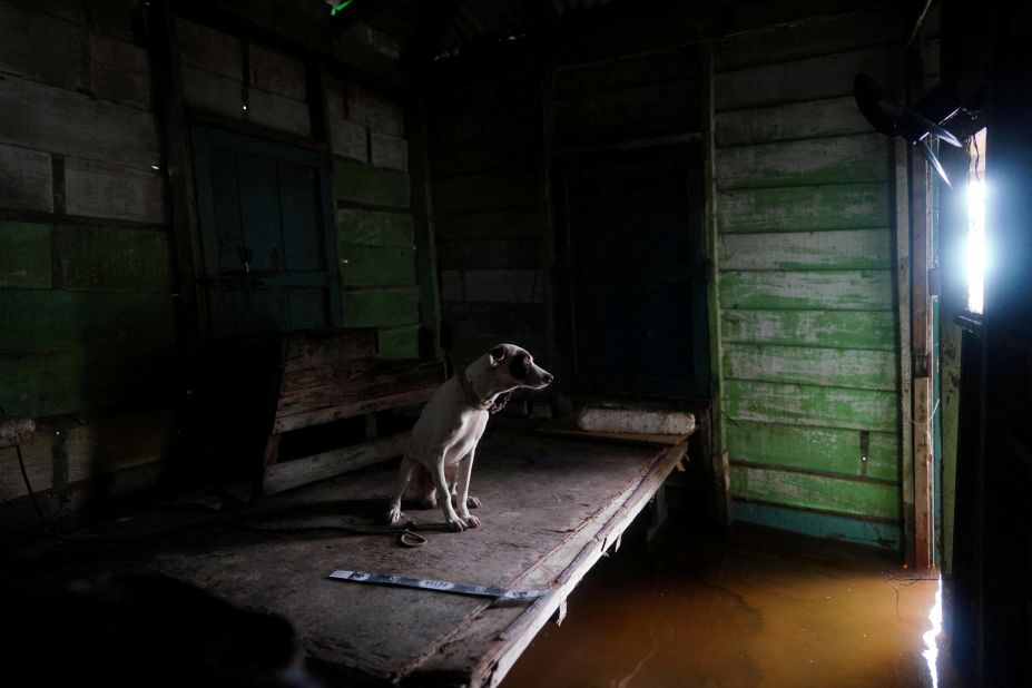 A dog named Samson looks at his owner, not pictured, as he comes back to a flooded home in Playa Majana, Cuba, on August 29.
