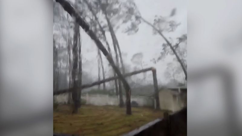 Watch: Woman captures dramatic moment tree collapses onto her home | CNN