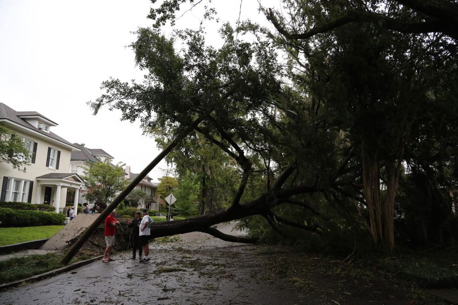 Residents talk with Savannah Alderman Nick Palumbo by an uprooted tree in Savannah on August 30.
