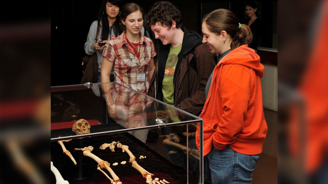 A 3D cast of a controversial skeleton called the "Hobbit" known as Homo Floresiensis is revealed at Stoney Brook, State University of New York. The original skeleton which is only 17,000 years old was discovered on the Island of Flores in Indonesia in 2003. The model was revealed during the 7th Human Evolution Symposium being held at the Staller Center For The Arts on the campus. The event was convened by renowned Archeologist and Professor Dr. Richard Leakey..  .Pictured: Homo Floresiensis skeleton cast.  .  Ref: SSPL94020  210409     .Picture by: Tim Wiencis/ Splash News.    .  Splash News and Pictures    .Los Angeles  .New York  .London    .   (Newscom TagID: spnphotostwo327876.jpg) [Photo via Newscom]