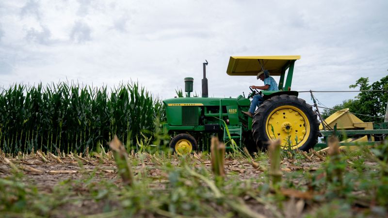 NextImg:Here's why farmers aren't included in the US monthly jobs report | CNN Business