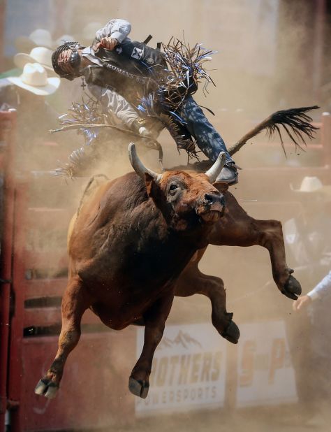 Dust flies as bull rider Hayes Thayne Weight is tossed by a bull during a rodeo at the Kitsap Fair and Stampede in Bremerton, Washington, on Saturday, August 26.