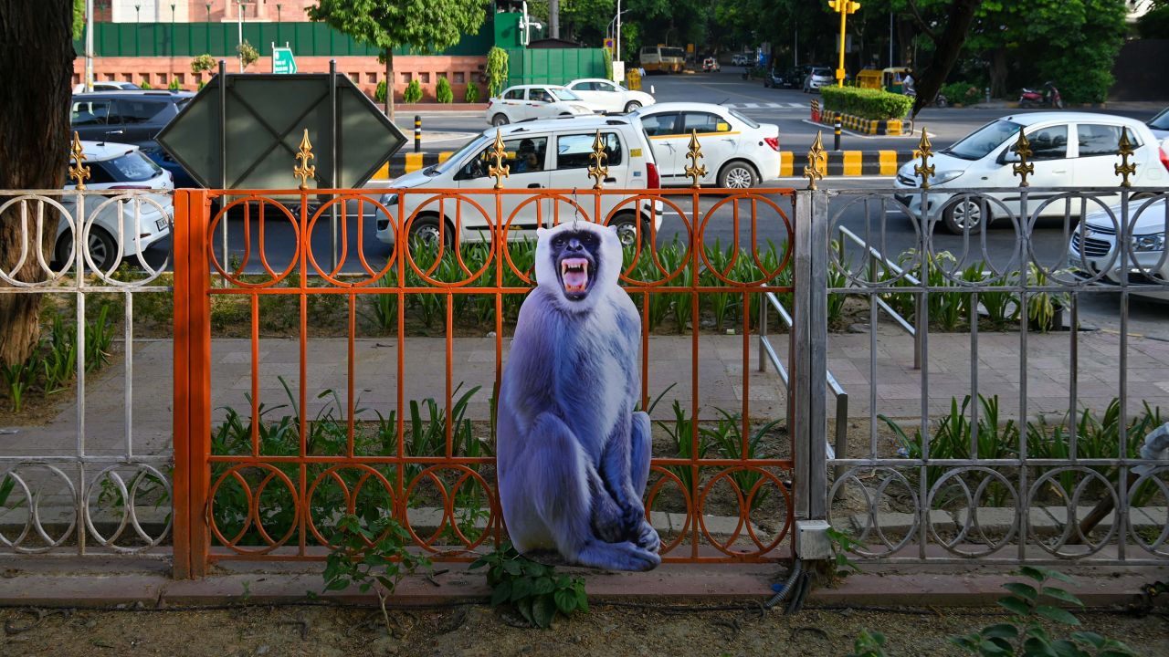 Langur cutouts put on railings to scare off the monkeys in view of G20 Summit on August 29, 2023 in New Delhi, India.  