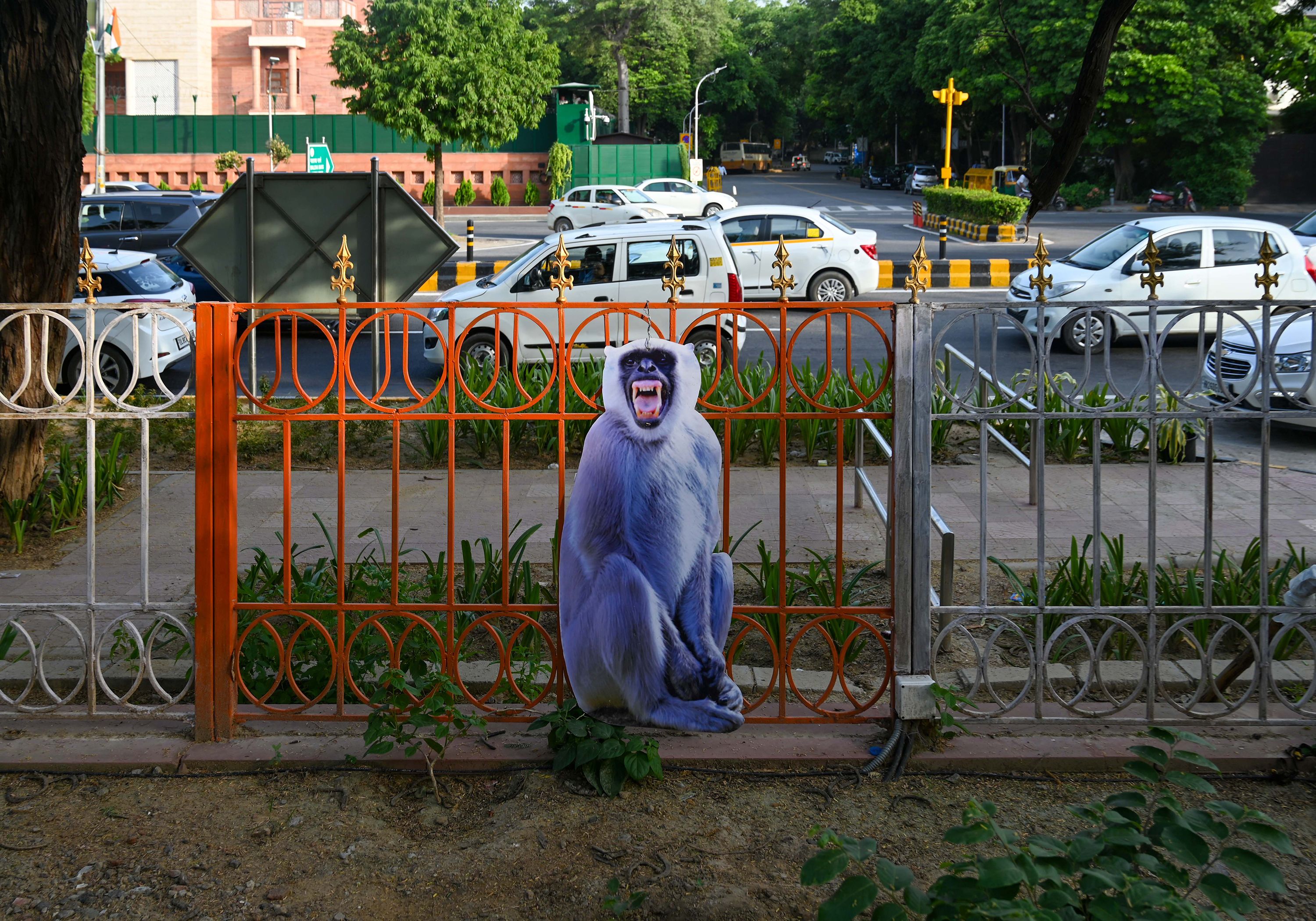 Monkey business: Delhi gets cutouts of langurs to ease menace