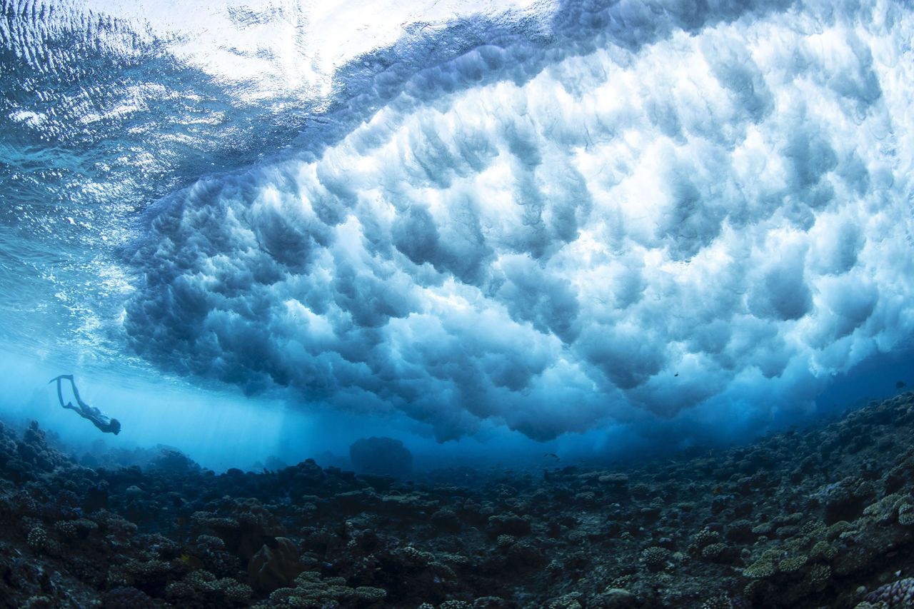 Diving experts say the area has pristine coral and stunning marine life.