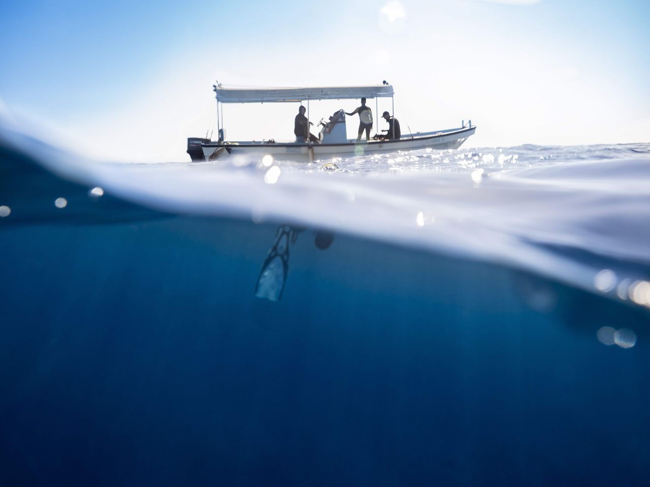 The Red Sea Coast is being touted as an undiscovered divers' paradise.