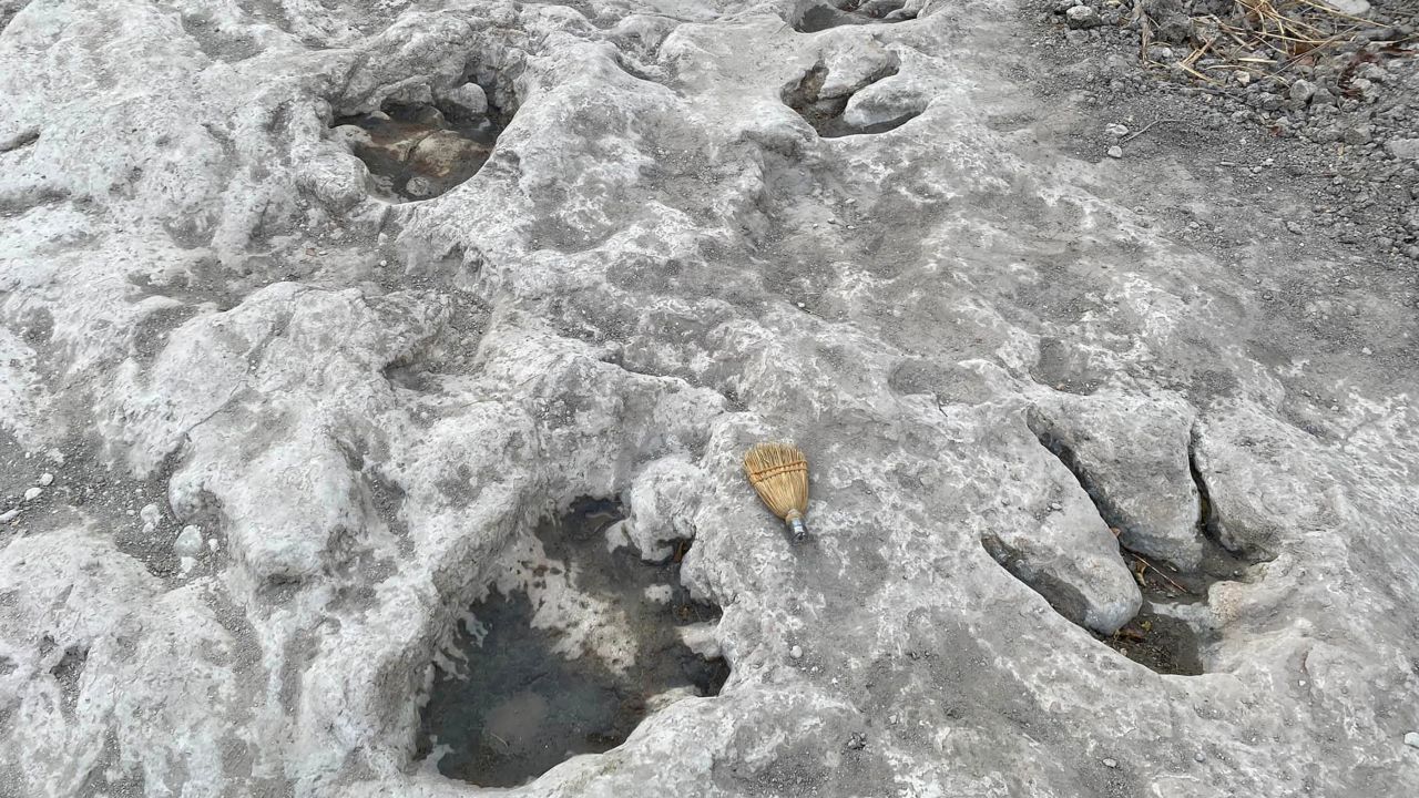 Newly discovered dinosaur tracks at Dinosaur Valley State Park in Texas.