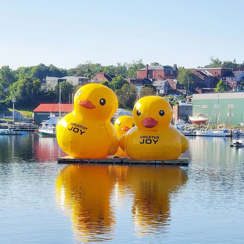 Giant deals duck inflatable