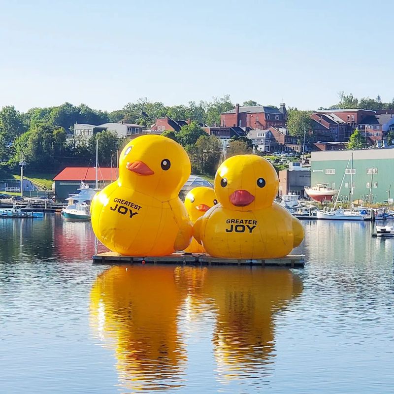 Giant inflatable ducks return to Belfast Harbor in Maine for a