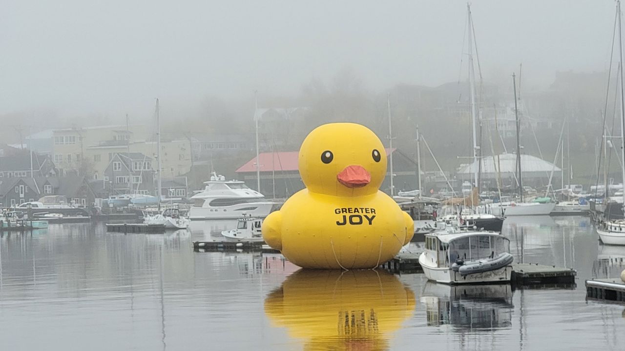 A giant inflatable duck floats in Belfast Harbor in Belfast, Maine, on October 26, 2022.