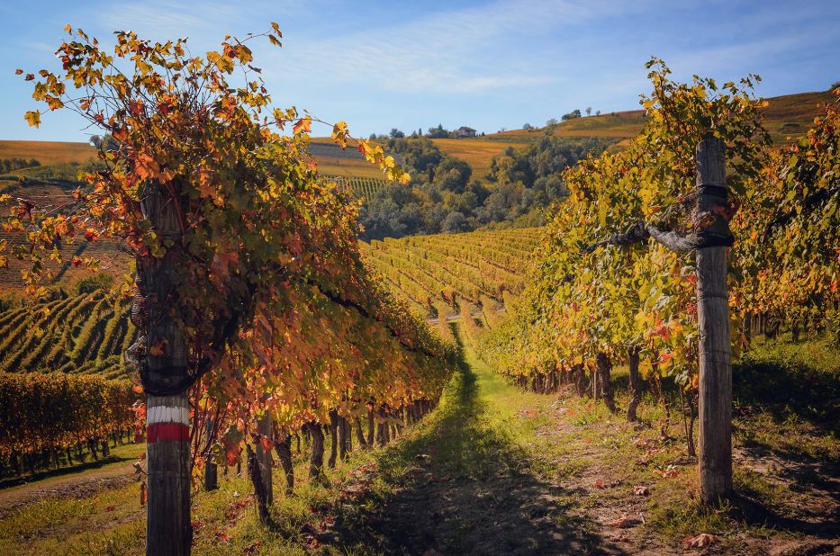 <strong>Italy's Piedmont region: </strong>Autumn is harvest time for wine producers in Italy's Piedmont region. It's also a great time to visit the delicious destination.