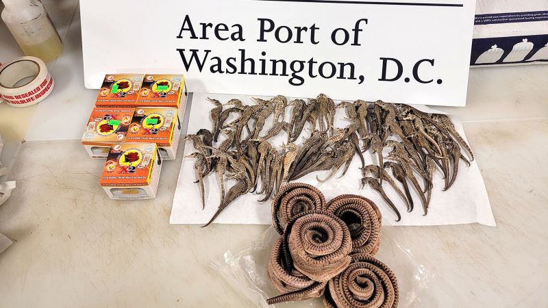 Морски кончета, змии и незаконно свинско месо от Виетнам, конфискувани от митниците на САЩ