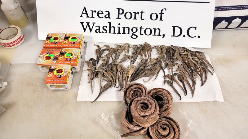 Seahorses, snakes and illegal pork from Vietnam seized by US Customs