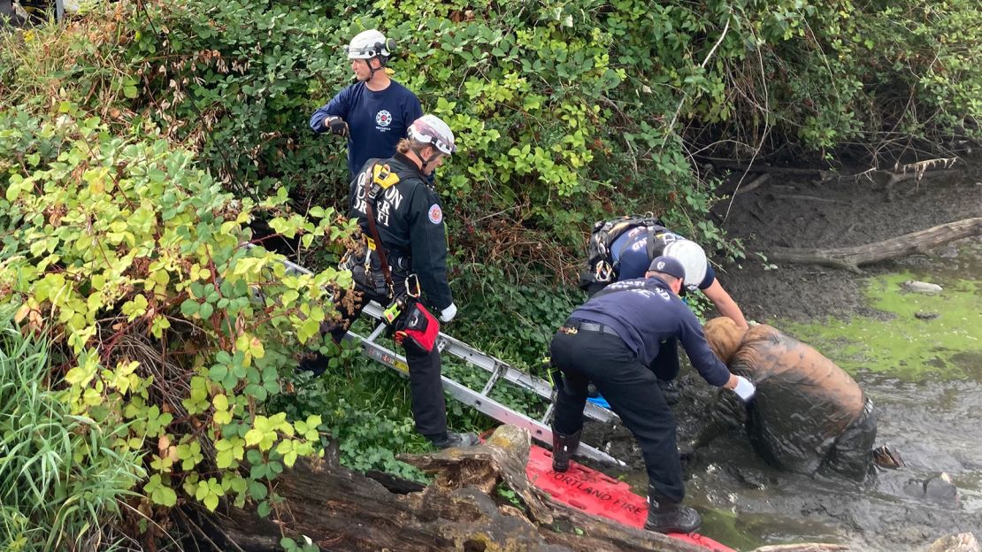 After about an hour, Portland Fire & Rescue freed Christopher Lee Pray from the mud using fire rescue equipment and a rope.