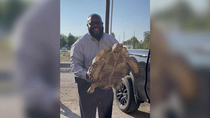 NextImg:100-year-old African tortoise reunited with family after being rescued from canal, officials say | CNN