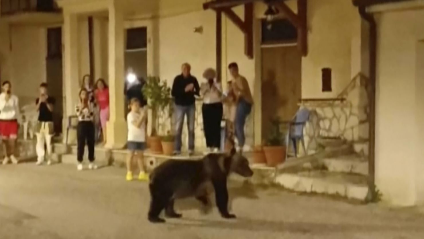 Amarena the mother bear takes a stroll in San Sebastiano Dei Marsi, Italy, on Aug. 26.