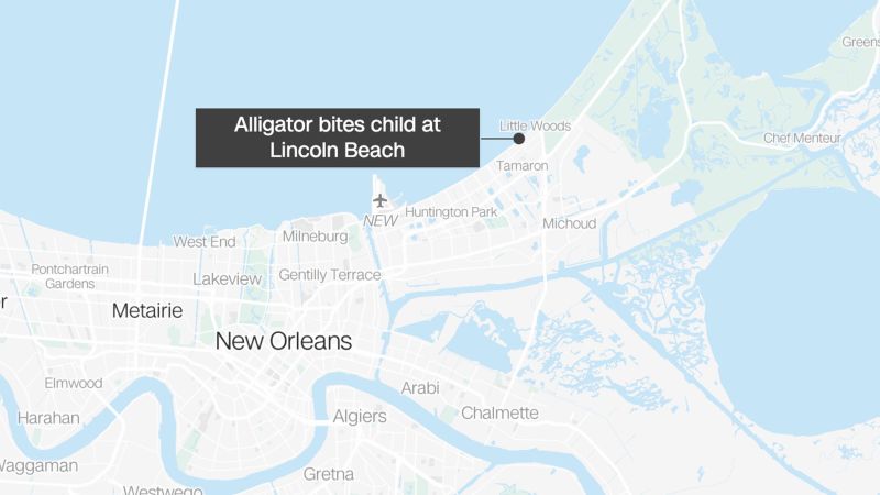 Алигатор ухапа дете на плаж в Ню Орлиънс, който е