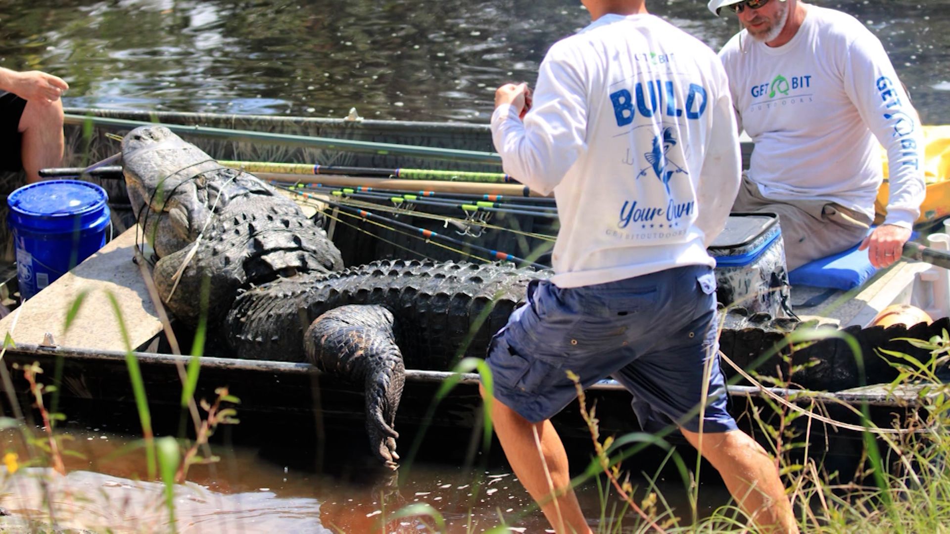 Catch of a lifetime': Watch hunters catch 900-pound alligator