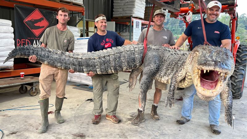 Ловци от Мисисипи уловиха най-дългия алигатор в историята на щата