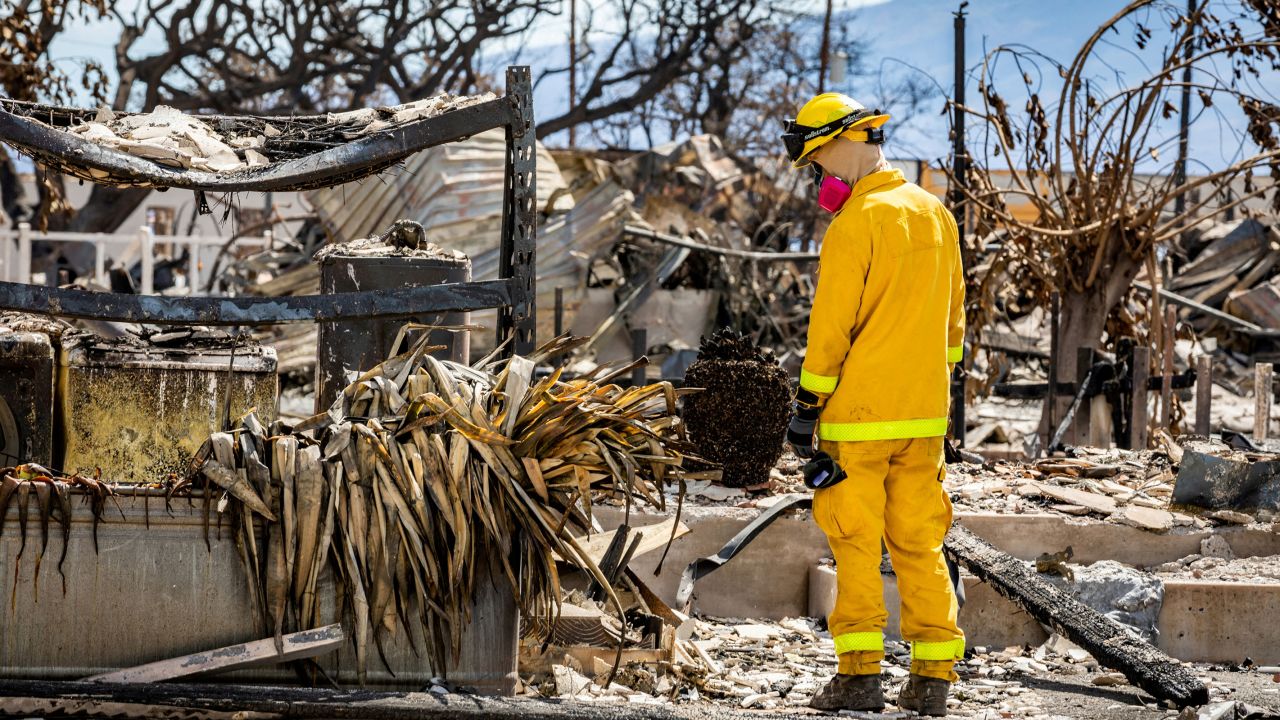 A Combined Joint Task Force 50 (CJTF-50) search, rescue and recovery member conducts search operations of areas damaged by Maui wildfires in Lahaina, Hawaii, on August 15. 