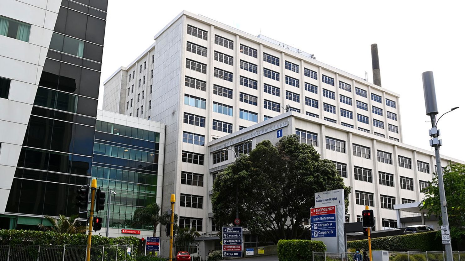 The woman gave birth by cesarean section at Auckland City Hospital in 2020.