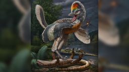 Life reconstruction of Fujianvenator prodigiosus with other aquatic and semiaquatic vertebrates from a new Jurassic terrestrial fauna.