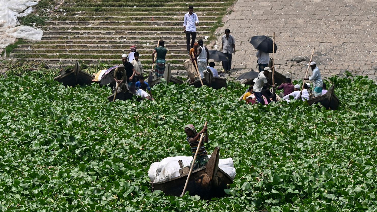 Boatmen steer through water hyacinth in the Buriganga River in Dhaka, Bangladesh on June 6.