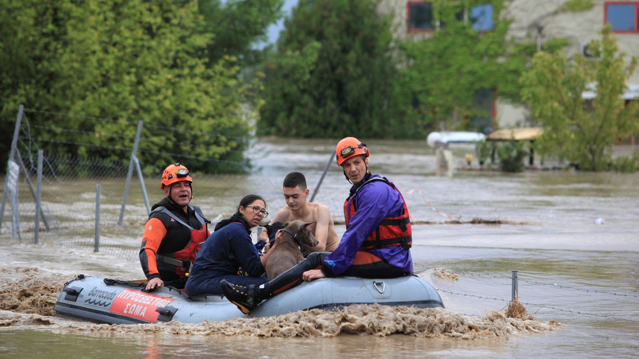 People and dogs are rescued from the floods. 