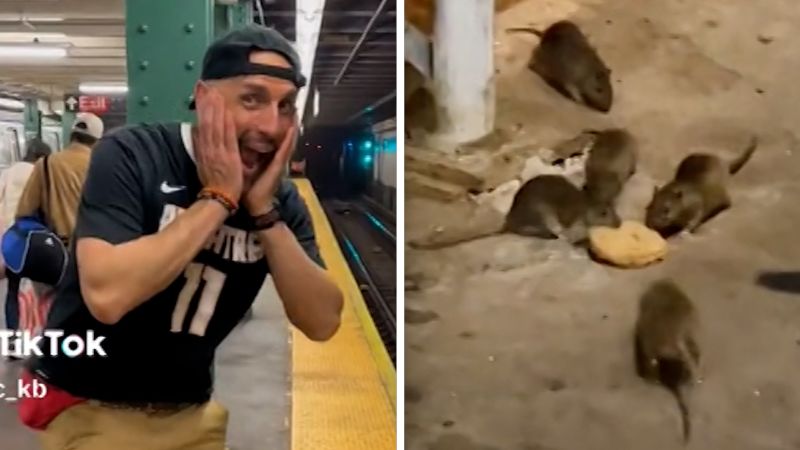 Watch: New York rat influencer gives tours to TikTok followers