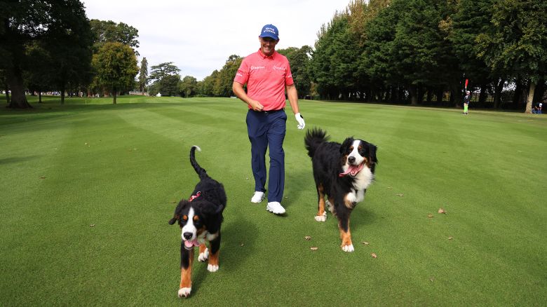 STRAFFAN, IRELAND - SEPTEMBER 06: Padraig Harrington of Ireland walks with his dogs, Wilson and Setanta on the 10th hole during the Pro-Am prior to the Horizon Irish Open at The K Club on September 06, 2023 in Straffan, Ireland. (Photo by Oisin Keniry/Getty Images)