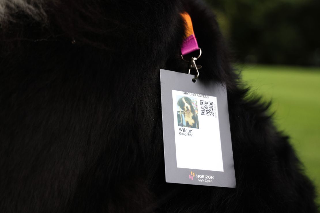 STRAFFAN, IRELAND - SEPTEMBER 06: A detail view of the ground access pass of "Good Boy" Wilson, Dog owned by Padraig Harrington of Ireland (not pictured) during the Pro-Am prior to the Horizon Irish Open at The K Club on September 06, 2023 in Straffan, Ireland. (Photo by Oisin Keniry/Getty Images)