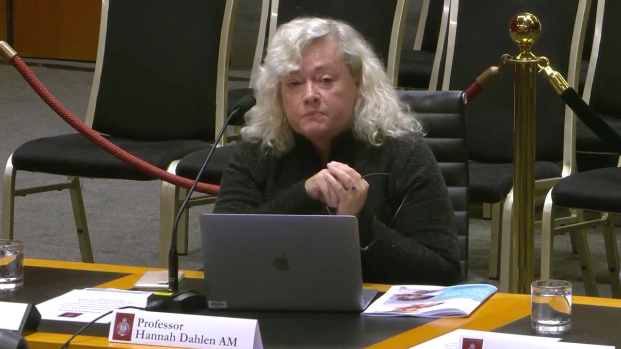 Dr Hannan Dahlen, a leading midwifery researcher, told the inquiry that women often blame themselves for bad birth experiences.