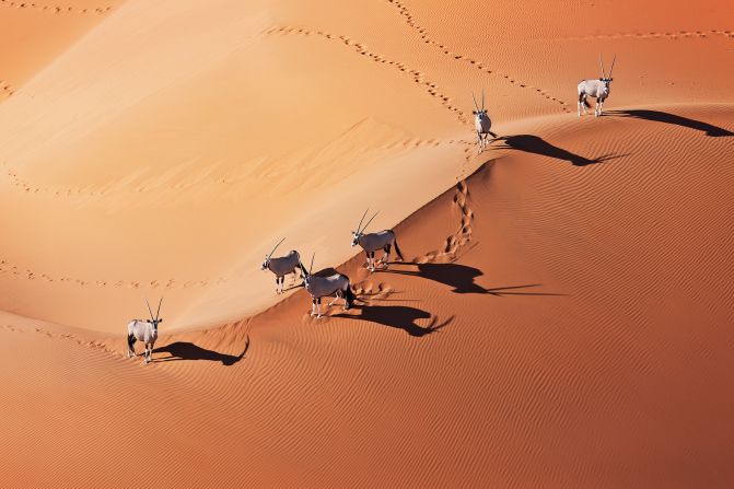<strong>Africa: </strong>Some of the world's highest and biggest sand dunes are the centerpiece of western Namibia's Namib Naukluft National Park, Africa's largest at 49,768 square kilometers (19,216 square miles).<br />