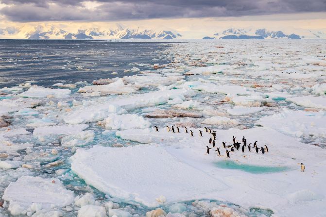<strong>Antarctica: </strong>The bottom end of the planet doesn't have any national parks, but the Antarctic does have one official nature reserve -- the Ross Sea Marine Protected Area. Created in 2016, the reserve spans 1.55 million square kilometers (600,000 square miles) and is home to millions of polar animals.