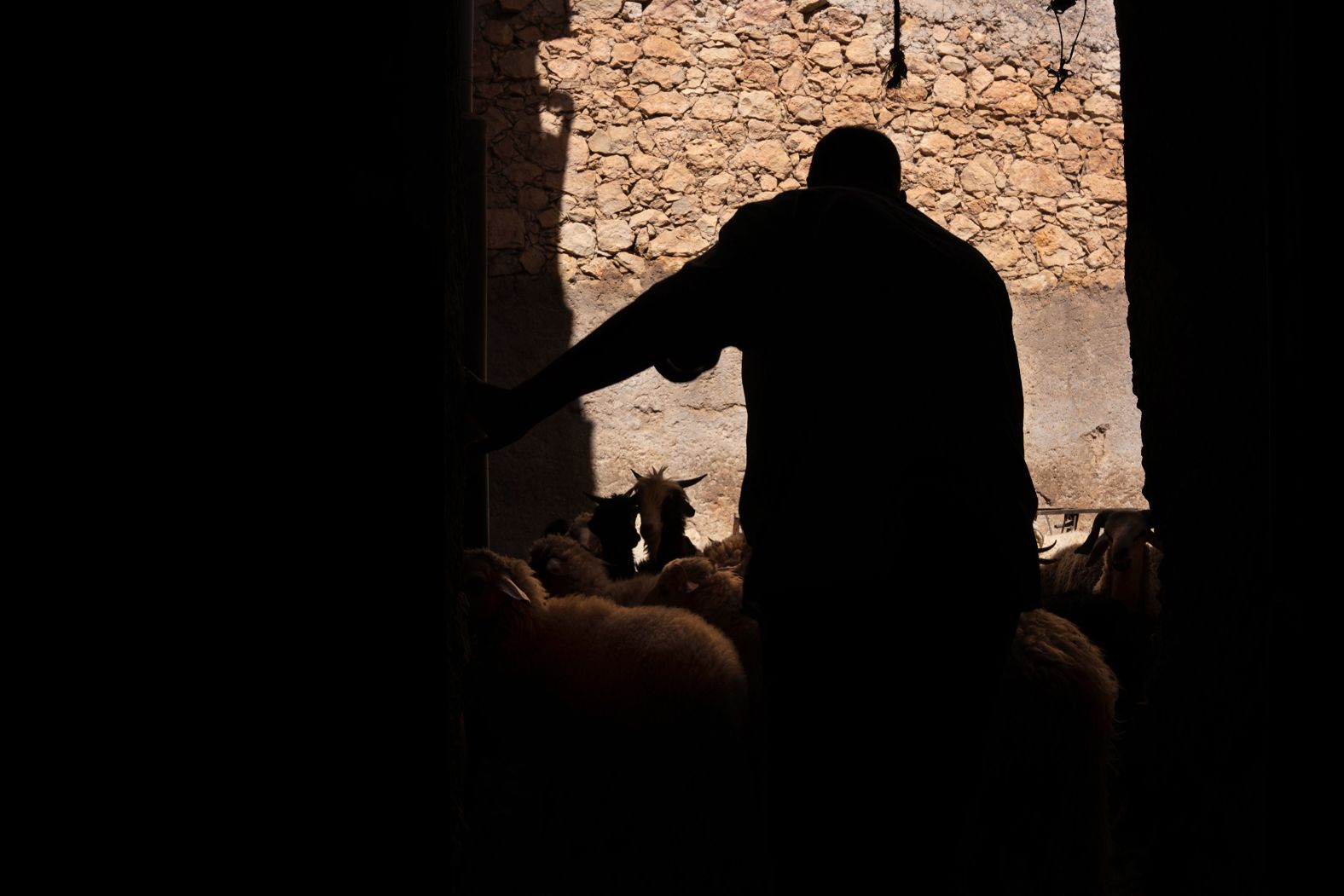 Ahmed enters the stable where he keeps his animals in Moulay Brahim. There were 40 of them: three died and four were seriously injured.