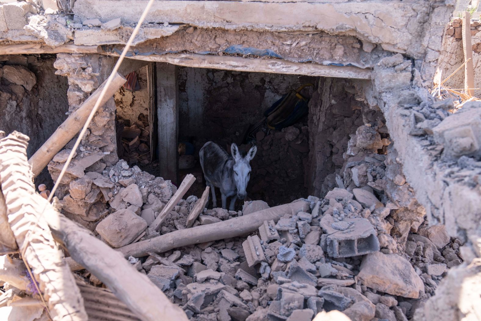 A donkey stands inside a damaged building in Tafeghaghte, Morocco, on September 11.