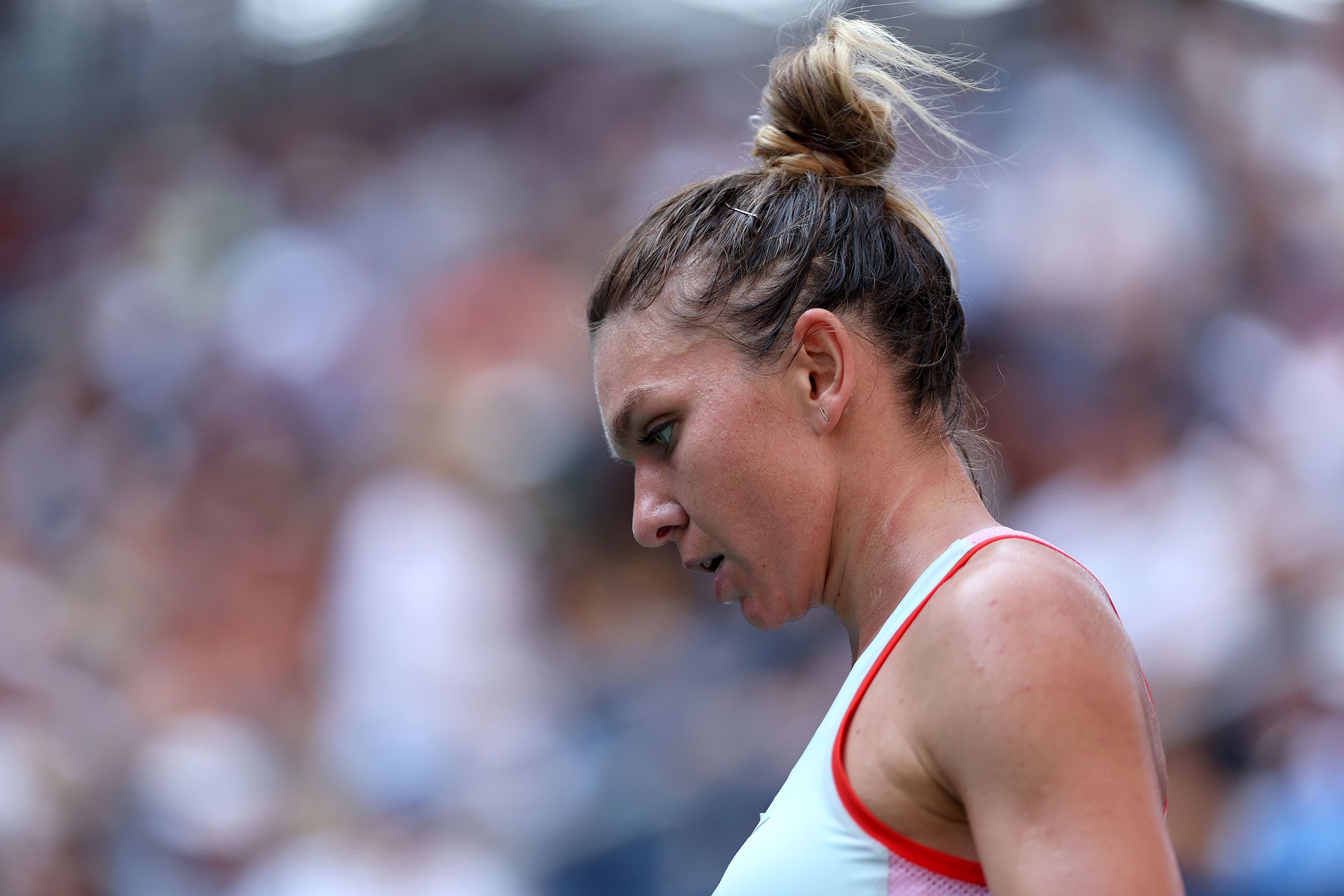 We're condemning an innocent woman” - Professor Alvarez, who analysed  Simona Halep's hair - Tennis Majors