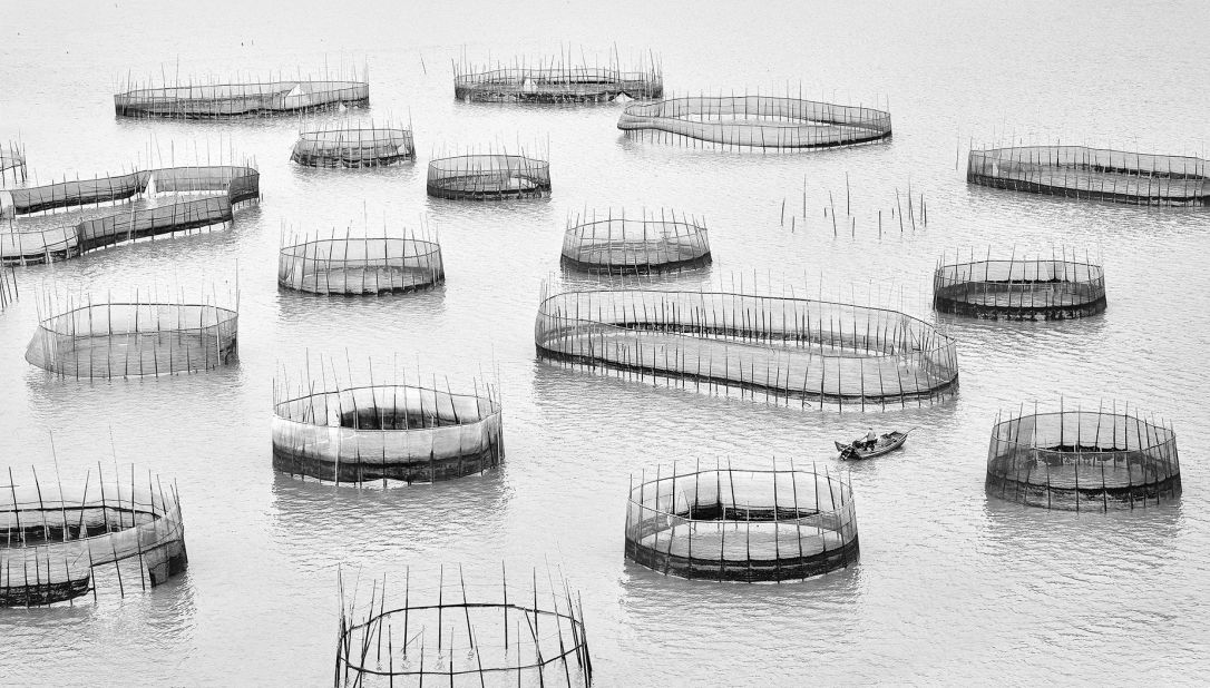 Artisanal fishing fences stand in the sea in China. Jingyi Wang's picture won the human connection category.<br />