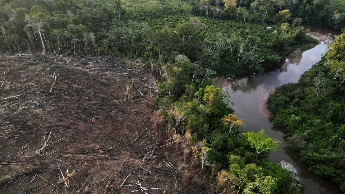 A deforestated area near the limit of the Cordillera Azul National Park, in Peru's Amazon.