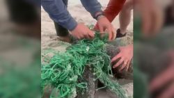 VIDEO THUMBNAIL baby seal net south africa 1