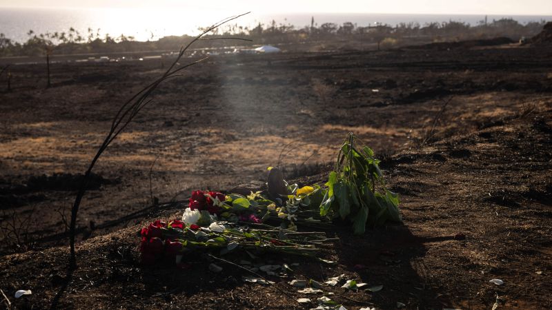 Усъвършенстваните ДНК тестове карат служителите да преразгледат броя на жертвите на пожарите в Мауи на 97, спад от 115