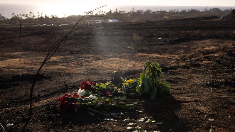 NextImg:Advanced DNA testing prompts officials to revise Maui fires death toll to 97, down from 115 | CNN