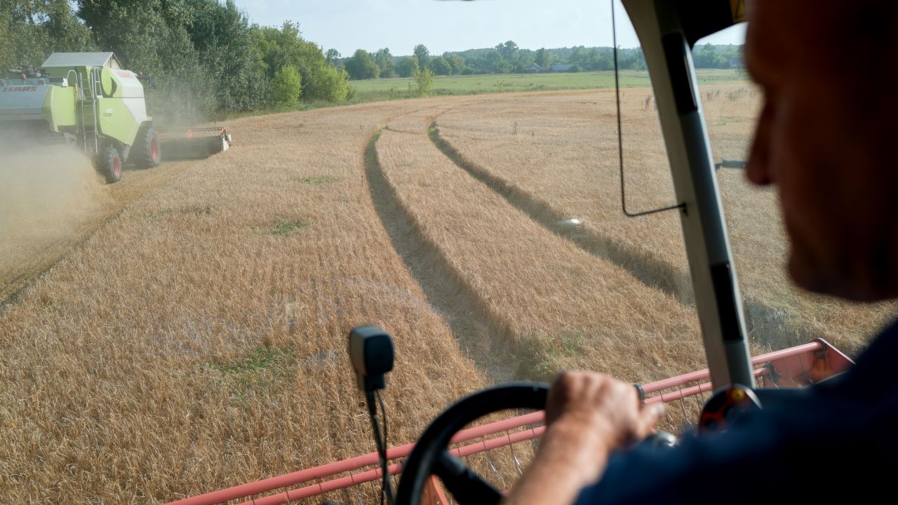 Workers harvest a field of barley near the border with Russia in the Chernihiv region of Ukraine on August 30, 2023. 
