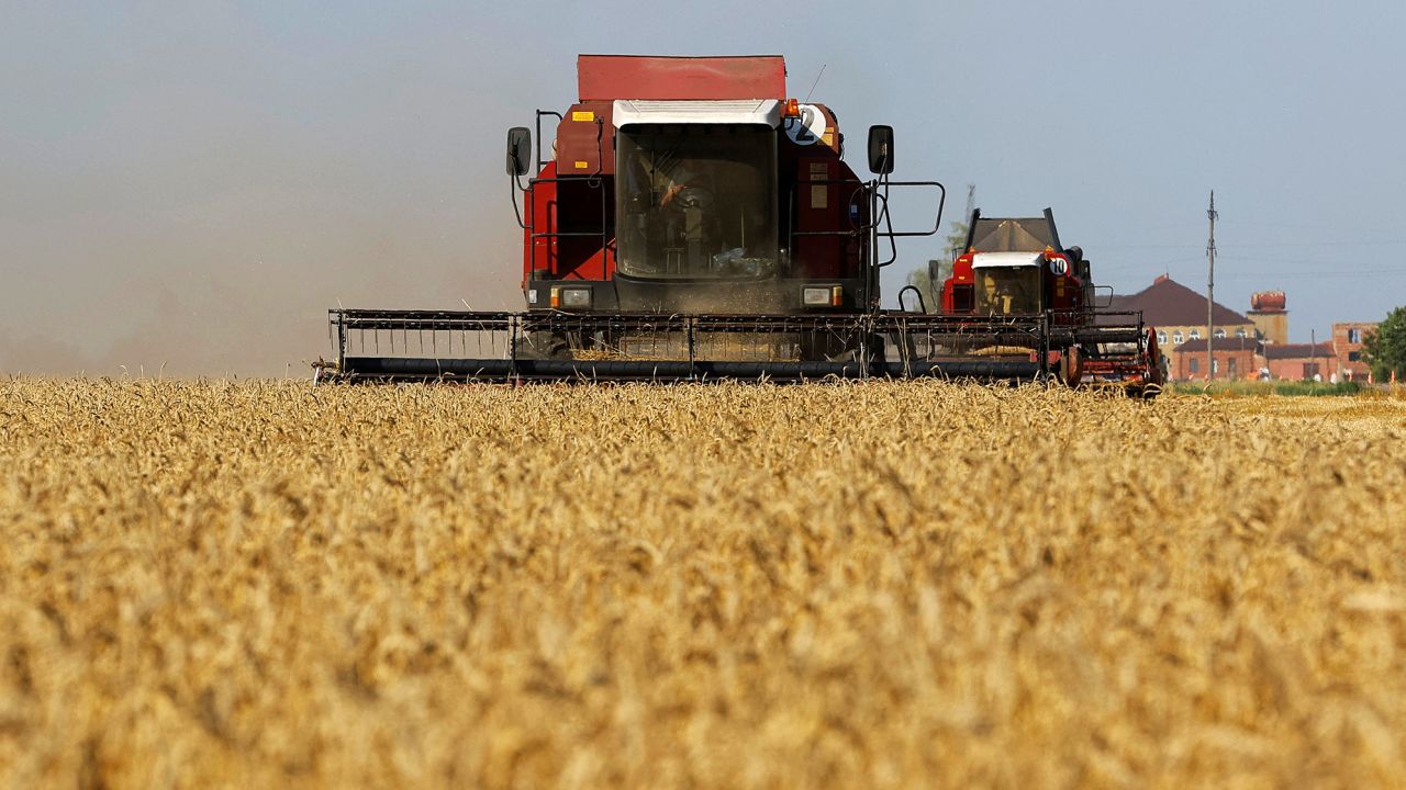 Комбайни жънат пшеница в поле в Запорожка област, контролирана от Русия Украйна.