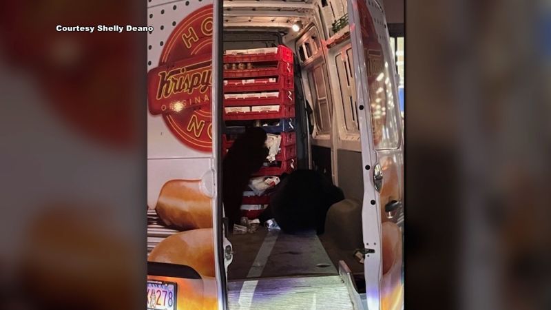 Video: Bears raid Krispy Kreme Doughnuts van in Alaska | CNN