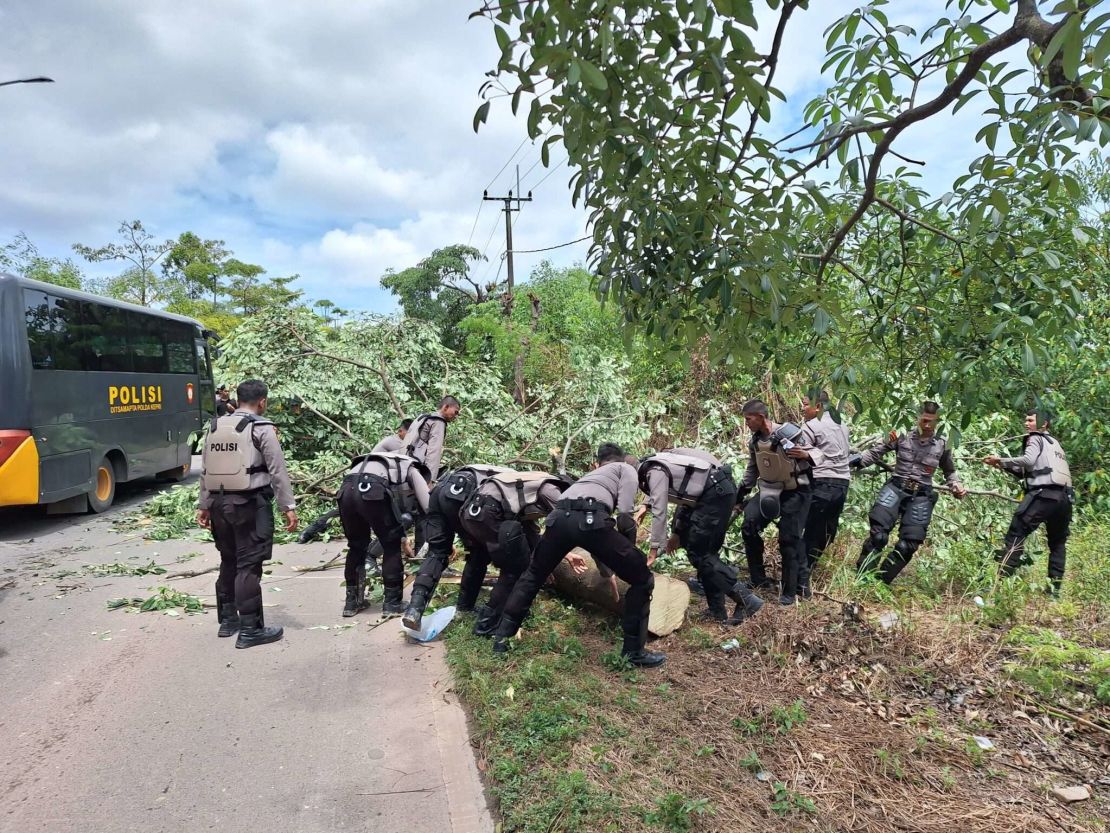 Security officials obstructed by forest barricades.