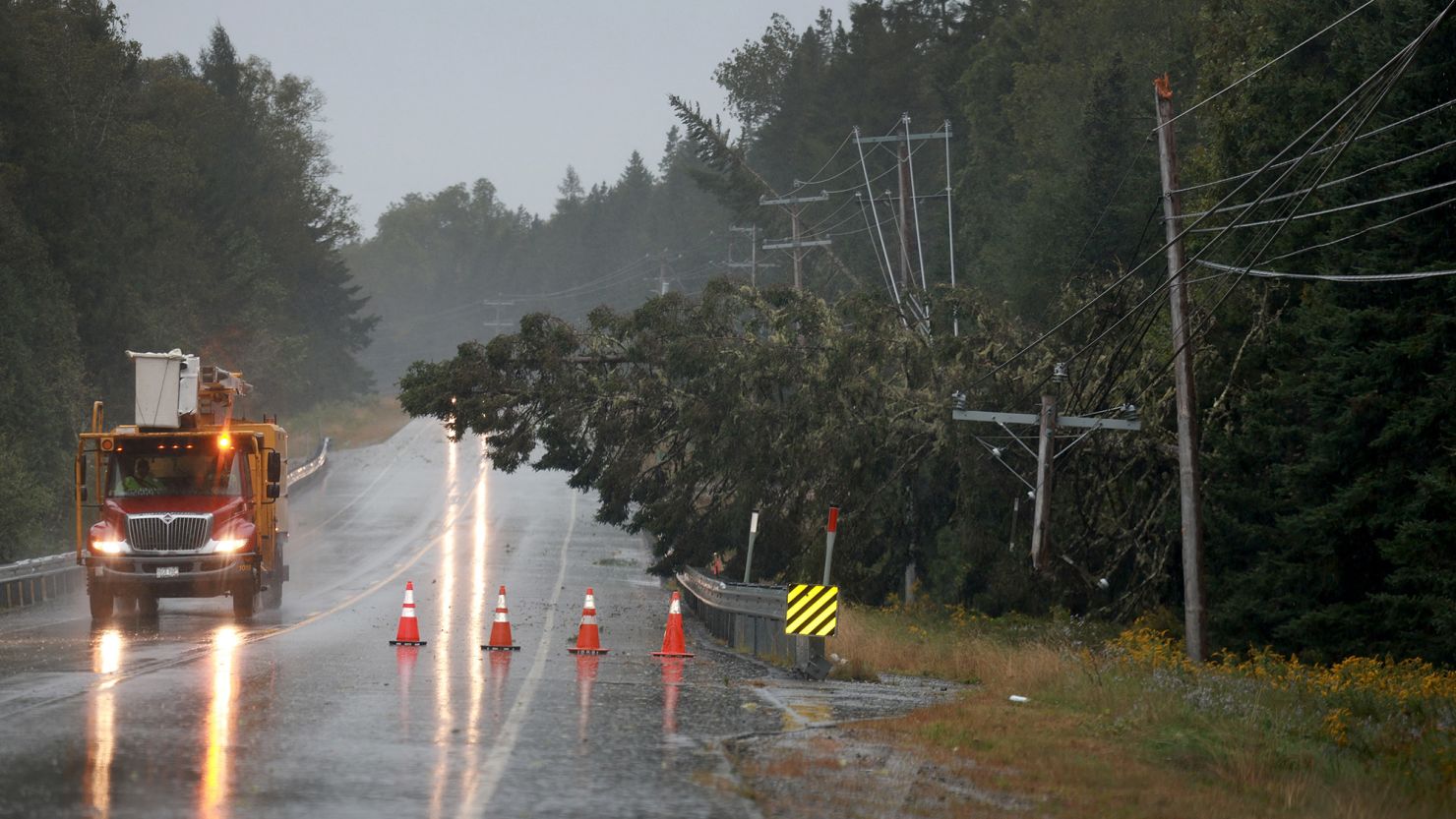 EASTPORT, MAINE - SEPTEMBER 16: A pine tree lays on power lines after it was knocked over due to Post-Tropical Cyclone Lee on September 16, 2023 in Eastport, Maine. Formerly a hurricane, the storm was downgraded, but forecasters say it will remain large and dangerous. (Photo by Joe Raedle/Getty Images)